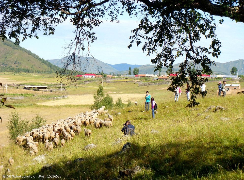 关键词:风吹草低见牛羊 草原 牛羊 绿色 自然 树木 天空 山水风景