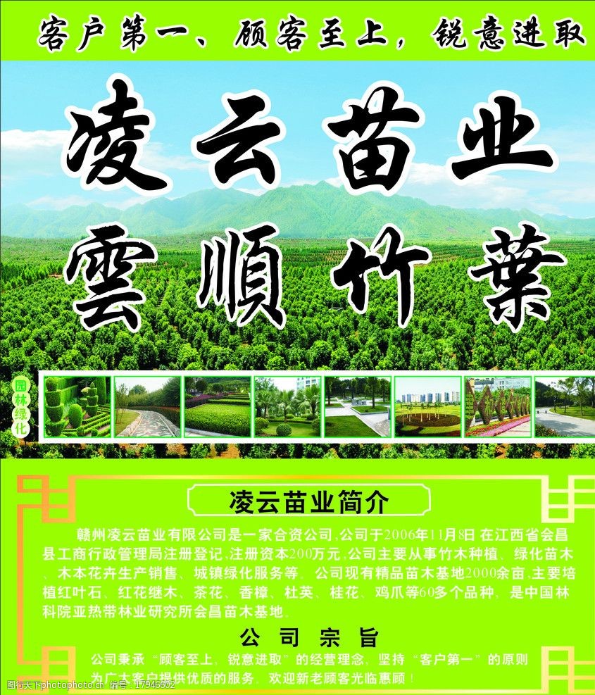 苗业园林设计图片