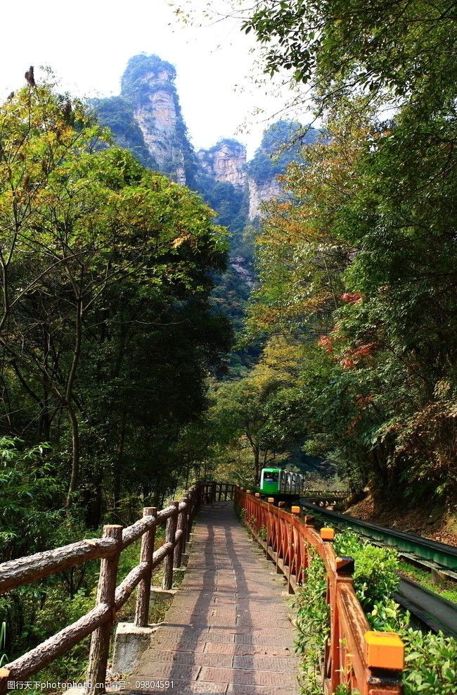 十里画廊 张家界 山谷 秋天 阳光 枫叶 树林 火车路 张家界风景 风景