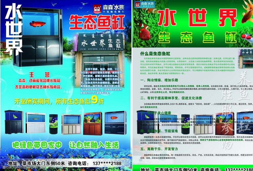 生态鱼缸宣传图片
