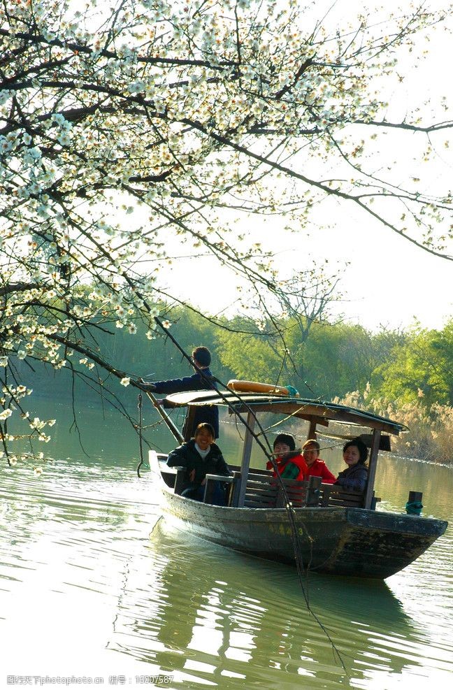 杭州西溪湿地景色图片