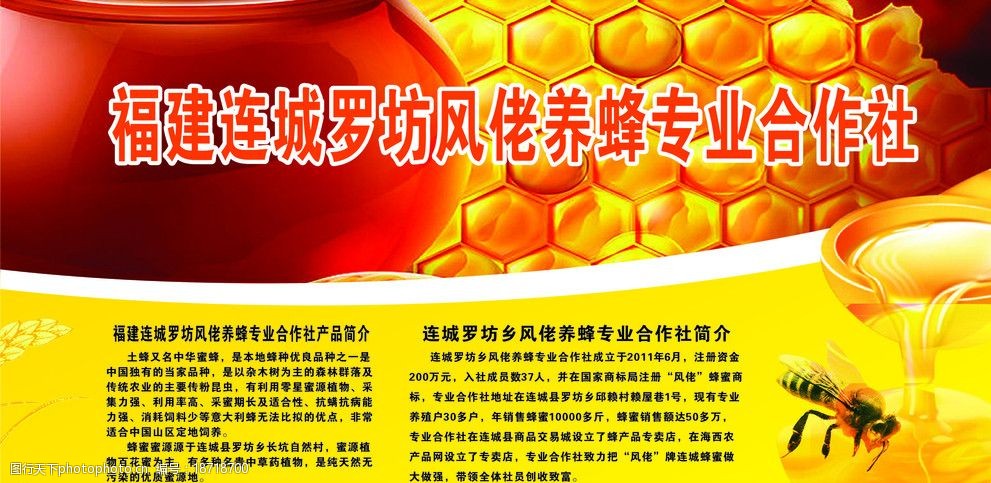 关键词:养蜂简介展板 展板 蜜蜂 蜂蜜 养蜂 农业 广告类 名片