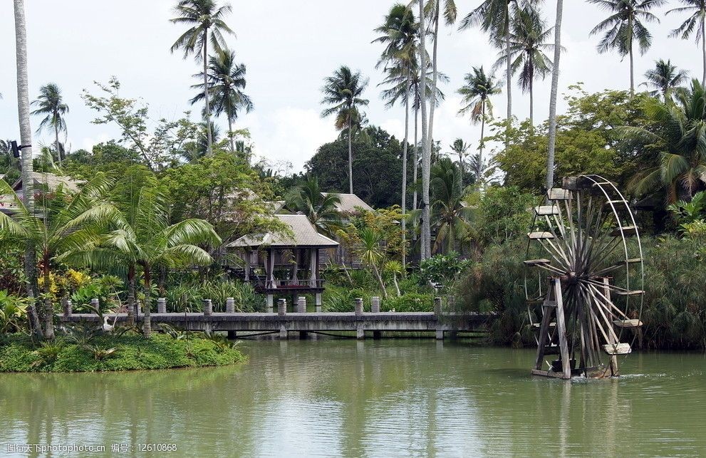 泰国酒店园林 泰国 酒店 园林 碧水 椰子树 水面 自然风景 自然景观
