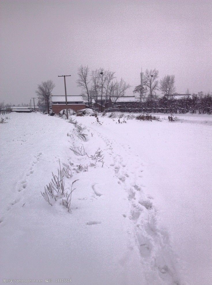 阴天渭北雪景图片