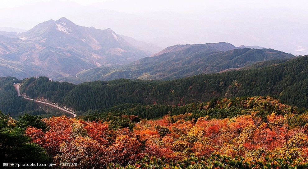 秋到大别山图片