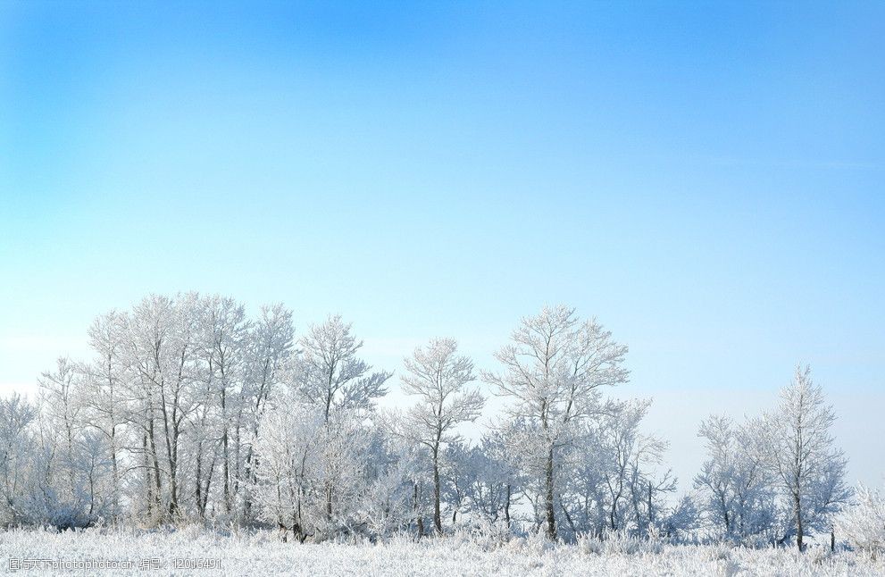 冬季大雪风光图片