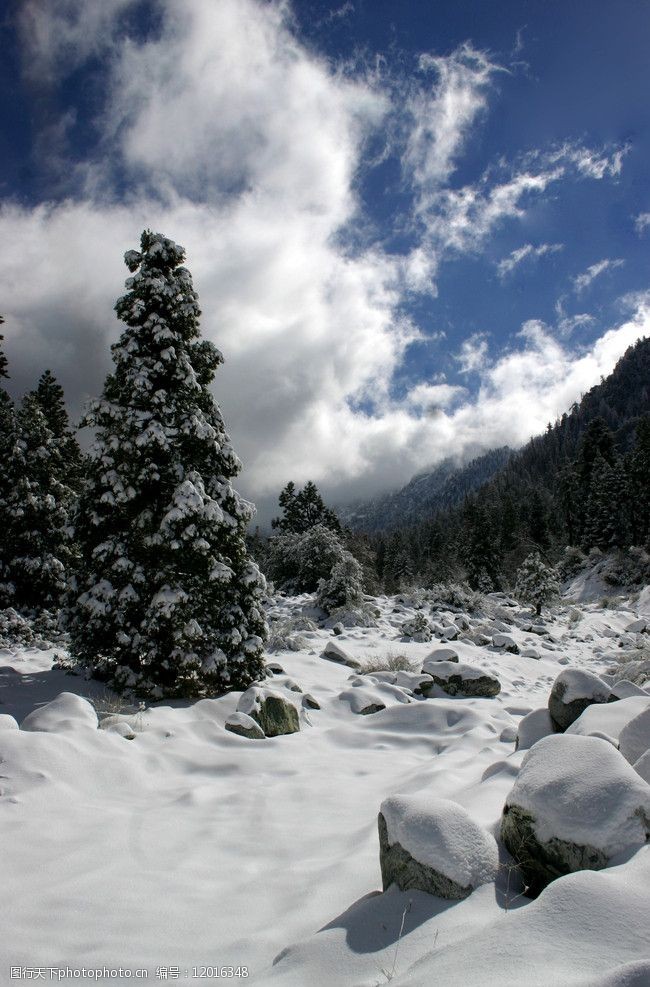 高原雪山风光图片