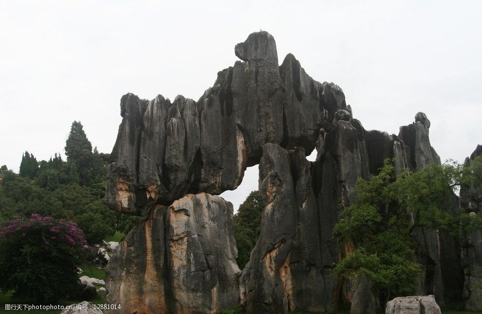云南石林胜景图片图片-图行天下图库