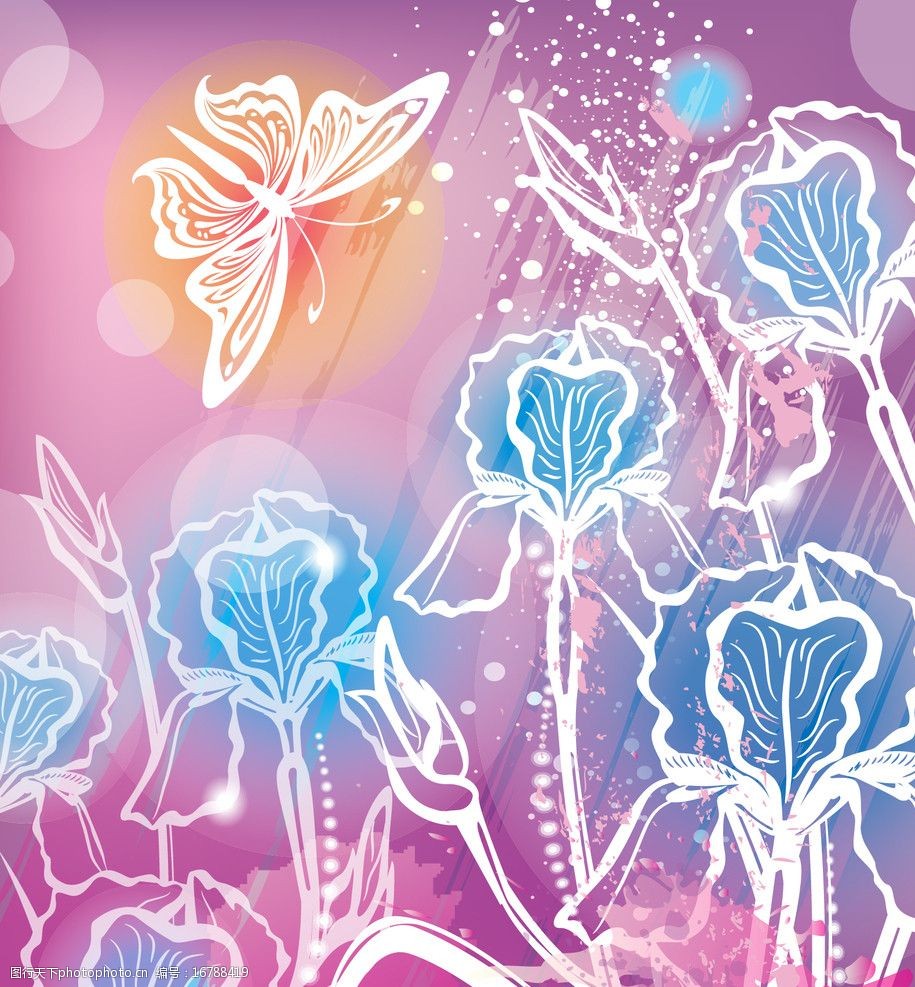 蝴蝶花图片