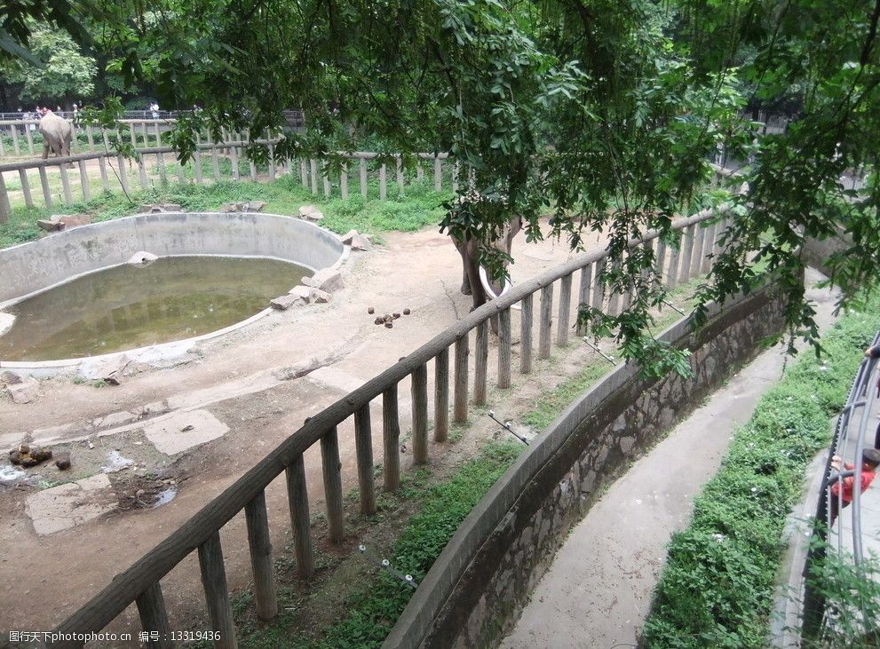 关键词:杭州动物园大象 杭州动物园 大象 游客 围栏 栅栏 水池 国内