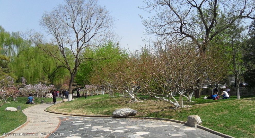 关键词:北京龙潭湖公园风景 自然风景 风景 大自然 春天 园林建筑