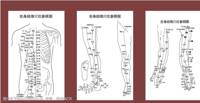 关键词:全身穴位经络参照图 上半身 手臂 脚臂 穴位图 针灸 艾灸 经络