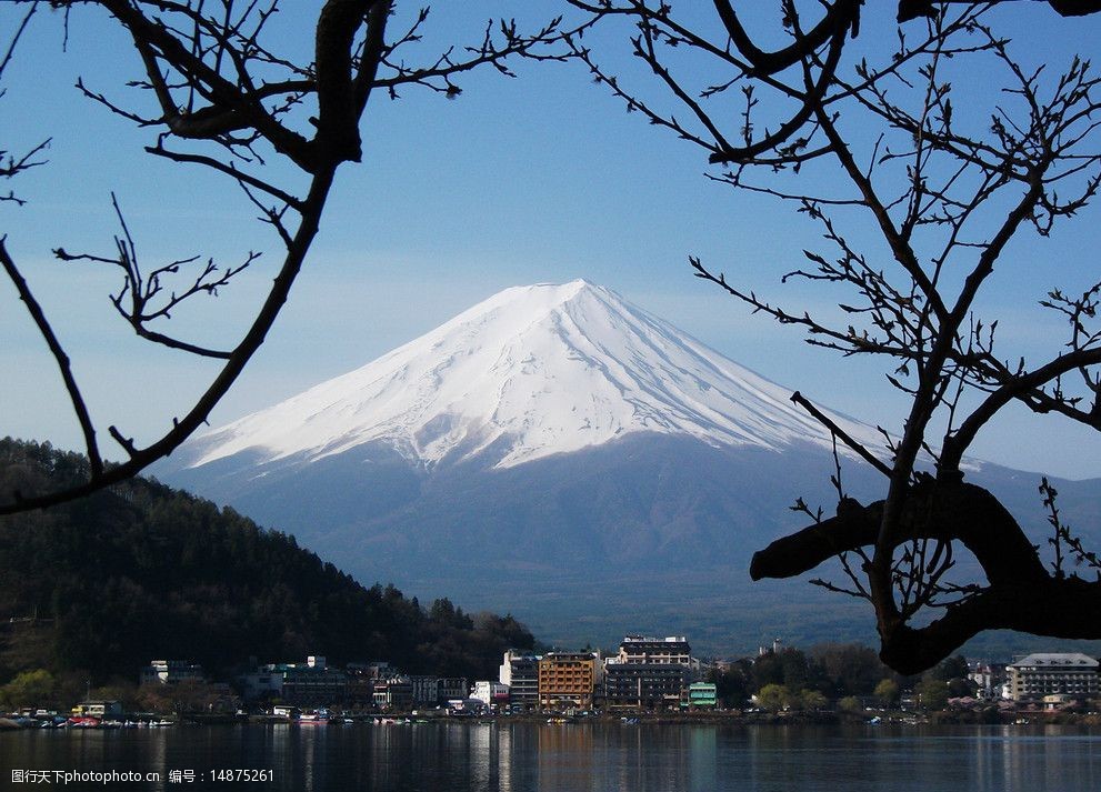 树下富士山图片