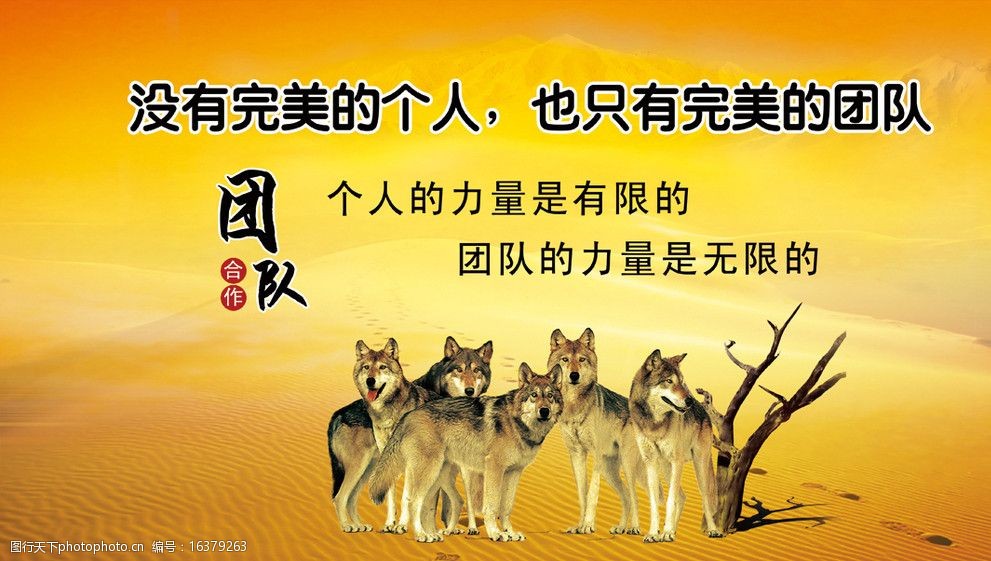企业团队