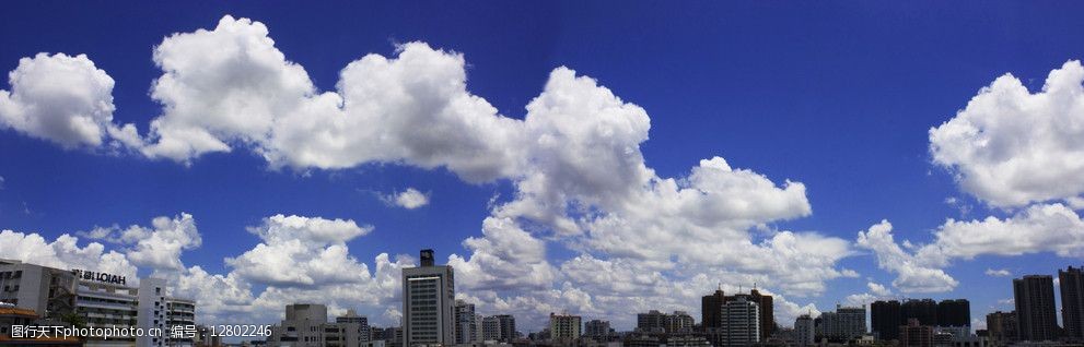 海口城市全景图图片