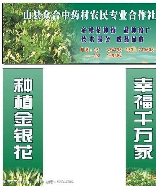 关键词:金银花门头招 金银花 中药材 合作社 门头招 农民 招牌 门头