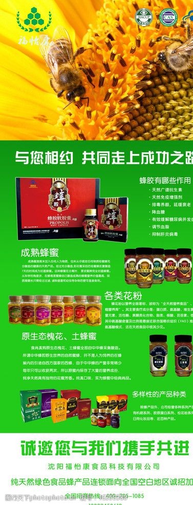 蜜蜂展架图片