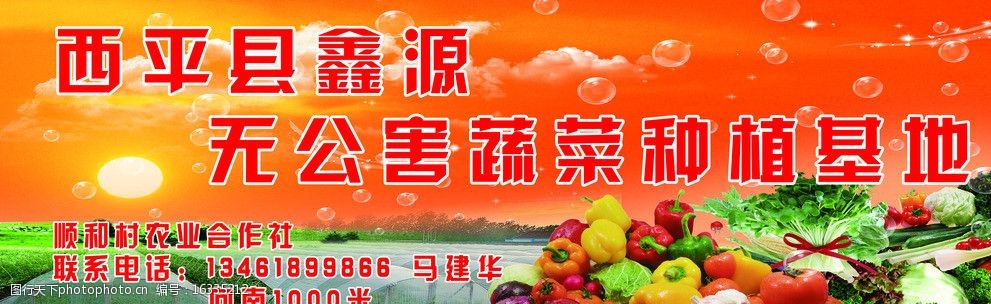 蔬菜种植基地广告图片