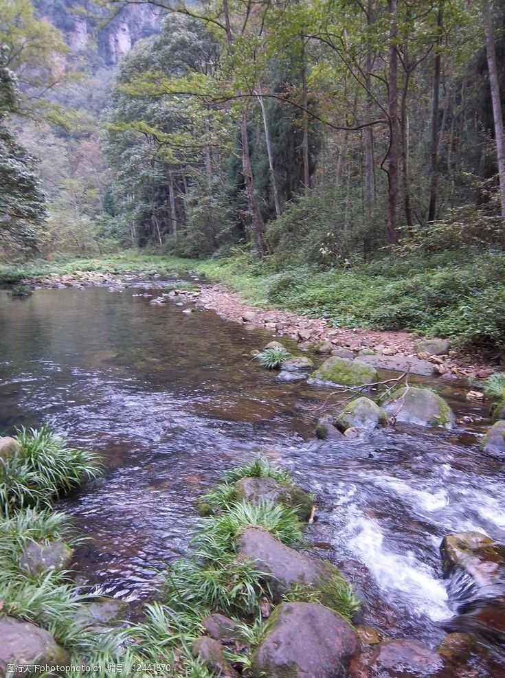 关键词:小溪树林 小溪 树林 溪水 水流 风景 河岸 风景名胜类 自然