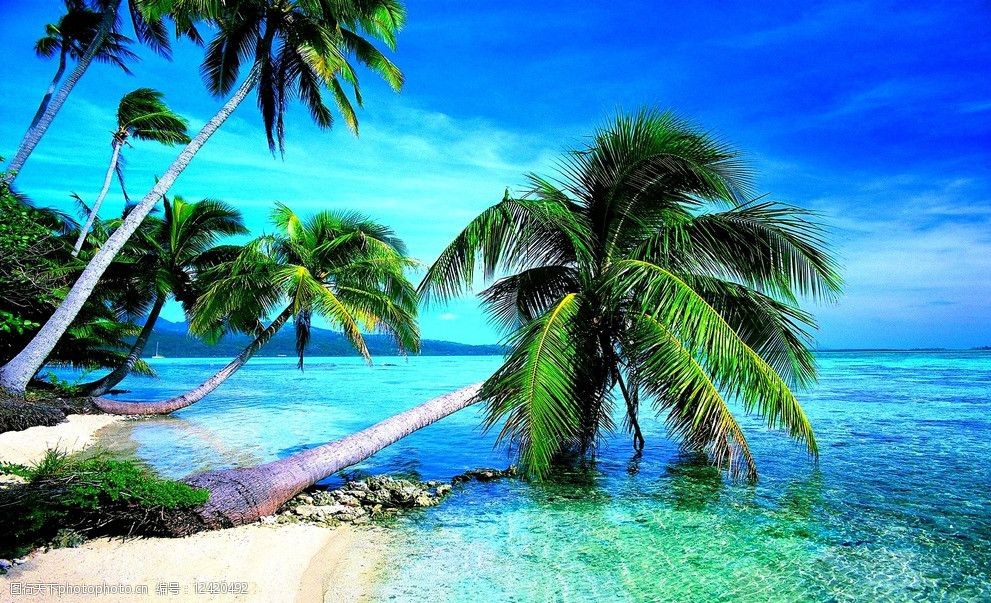 关键词:海滩 椰树 热带海滩 沙滩 海岛 天堂 美丽 大海 海 蓝天 白云