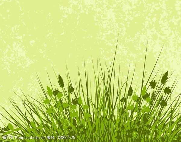 绿色的杂草草丛