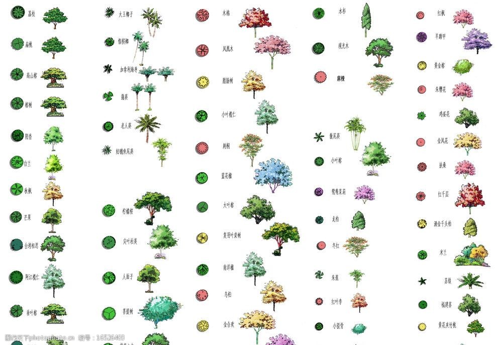 关键词:手绘植物 平立树木大全 植物 手绘树木 平面树木 立面树木