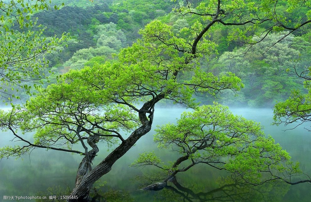 关键词:湖面的树 湖面 绿树 水面 绿山 摄影 自然风景 旅游摄影 300