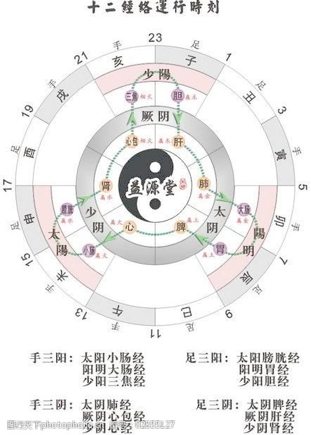 十二经络运行时刻表图片