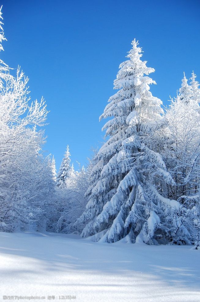 冬季雪景图片图片-图行天下图库