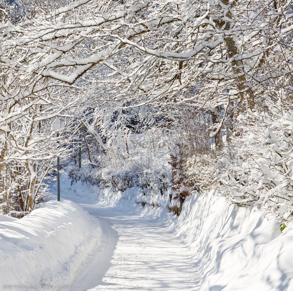 冬季雪景图片