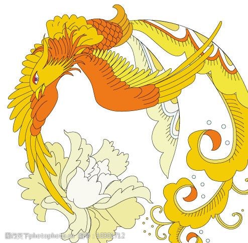 关键词:金色凤凰 白色花朵 展翅高飞 牡丹 中国传统龙凤图案 传统文化