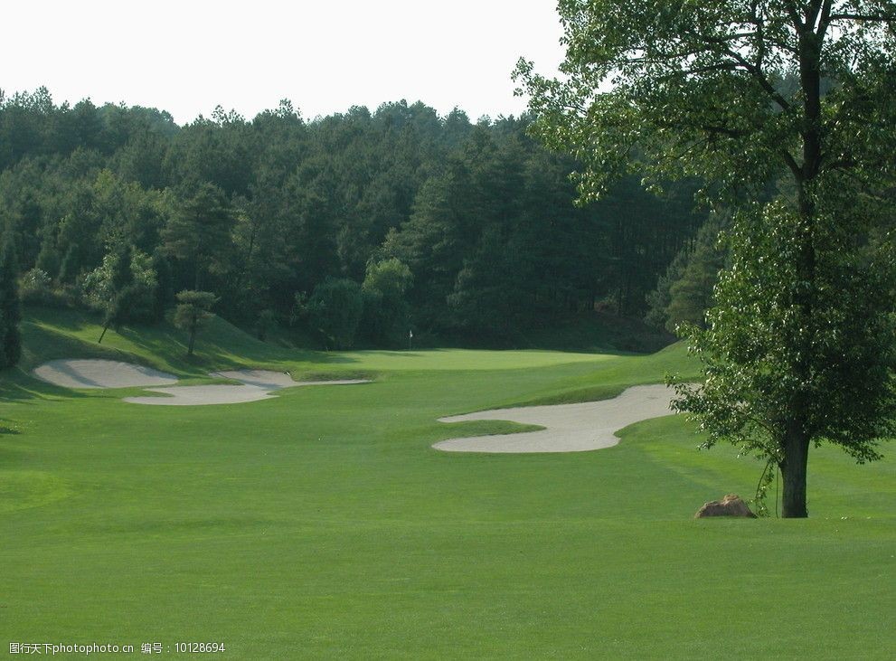 关键词:18洞高尔夫球场 高尔夫 球场 绿树 草地 草坪 绿草 远山 其他