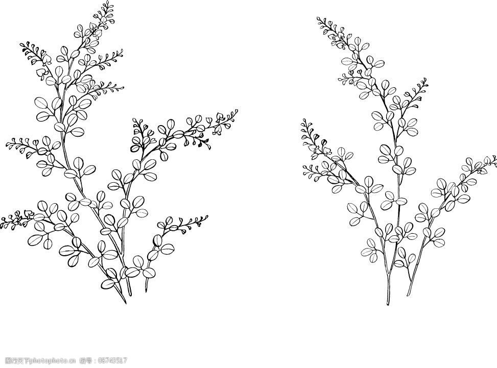 關鍵詞:花草矢量圖 裝飾圖案 紋樣 抽象植物 繡花刻畫 矢量 矢量植物