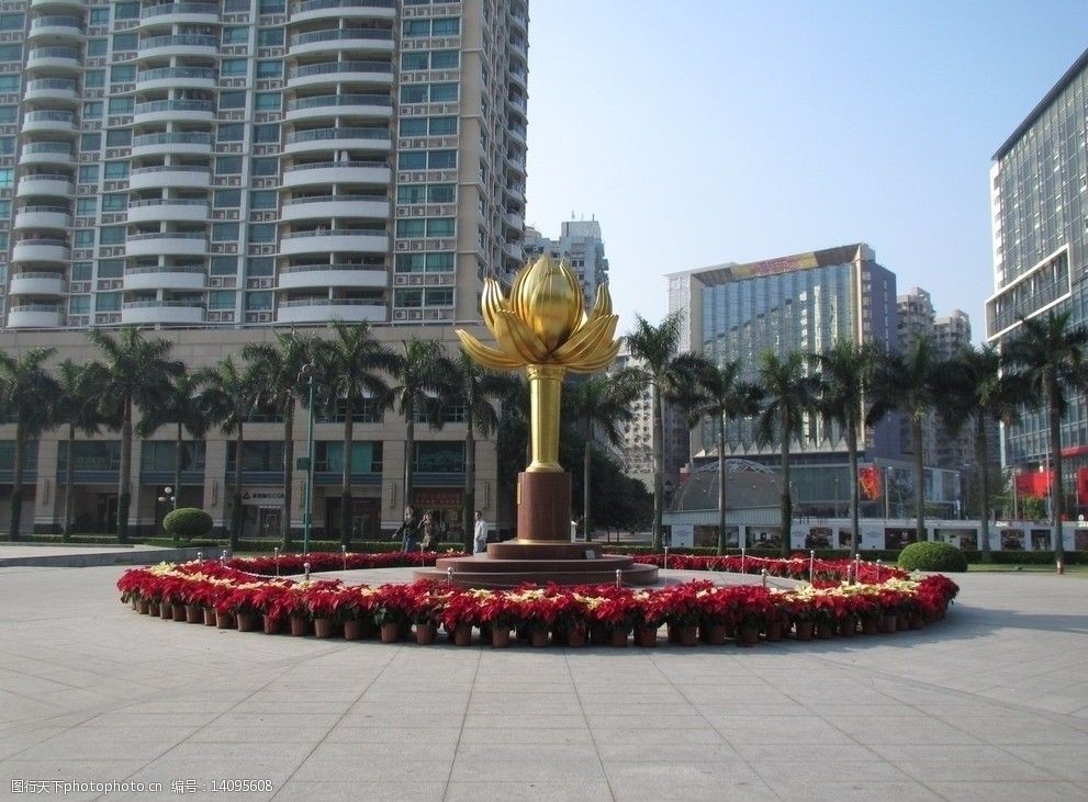 澳门风光金紫荆广场图片