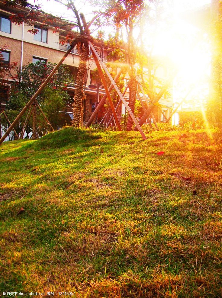 阳光建筑摄影图片