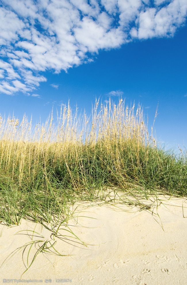 关键词:草地野外风光 草地 草坪 草原 野外 户外 自然 风光 风景 景色