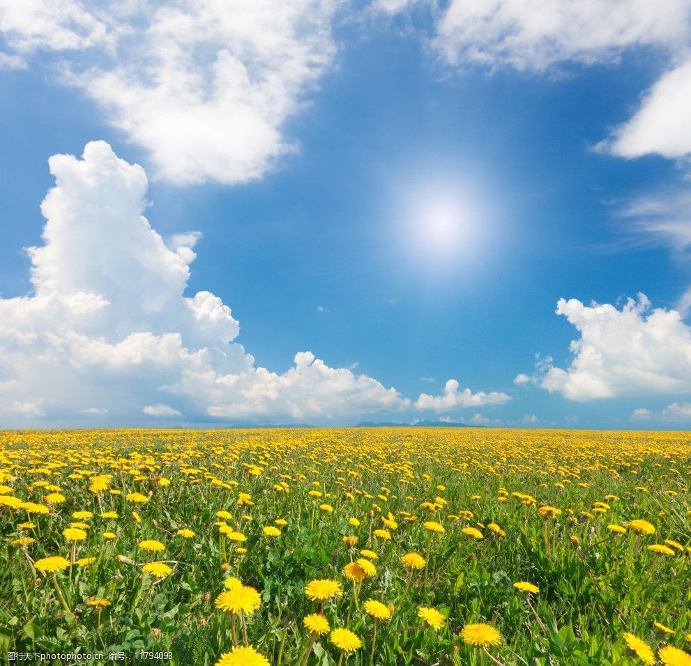 蓝天白云草地图片