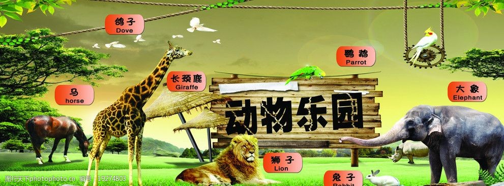 动物世界动物乐园图片