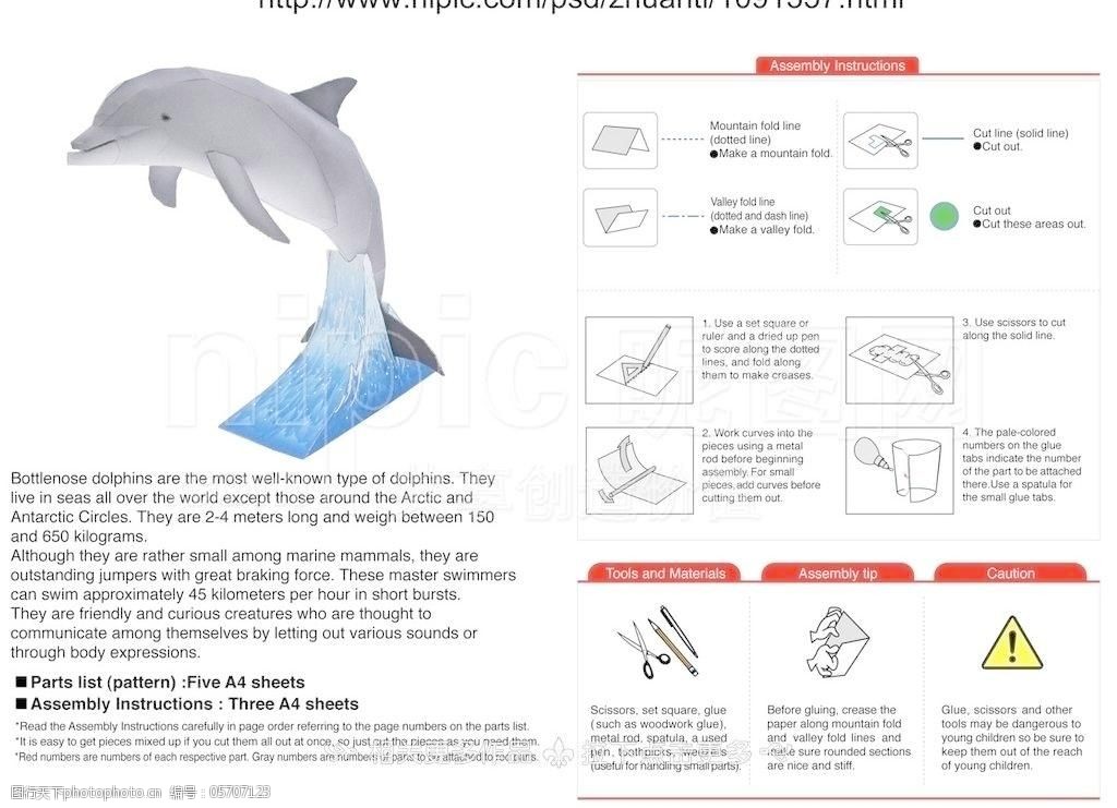 海豚纸模图片