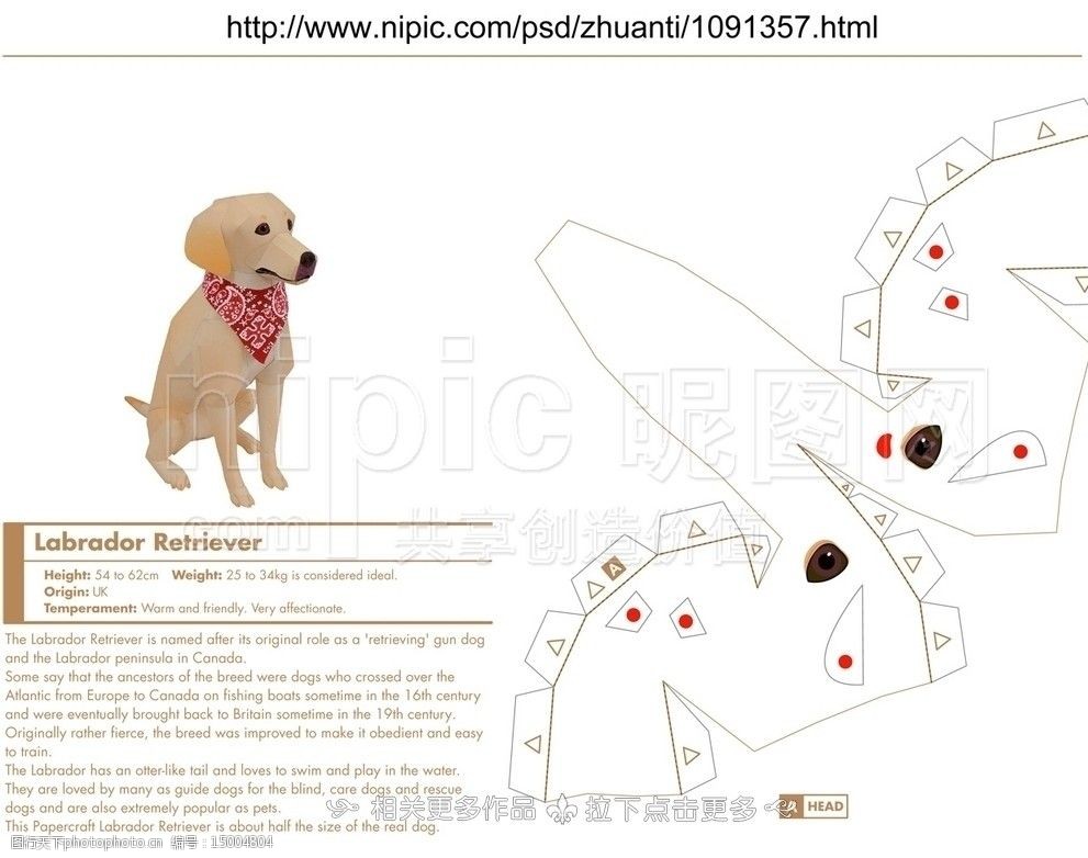 小狗纸模图片