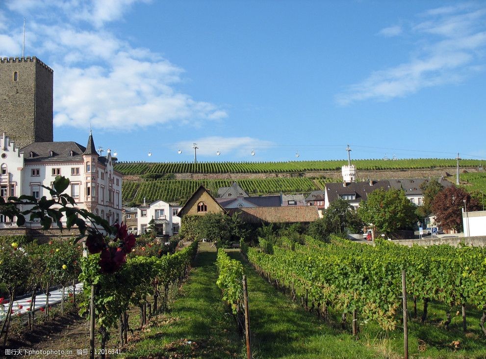 农场庄园风光图片