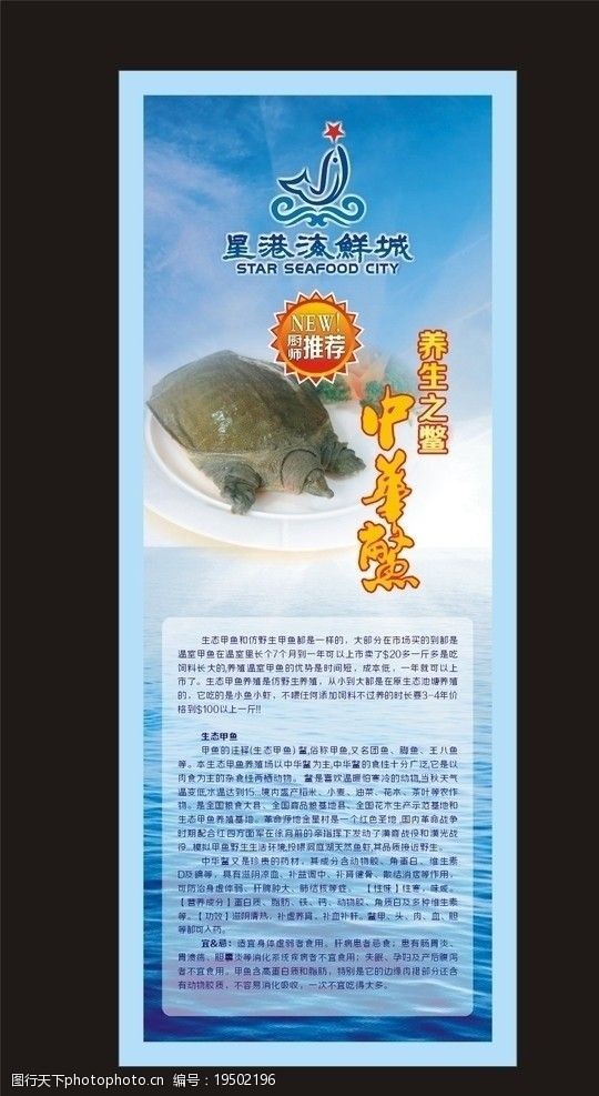 中华 养生 鳖 易拉宝 展架 海报 宣传 设计 画册 大海 蓝天 特价 广告