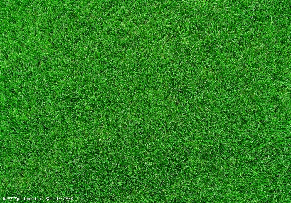 地面草坪摄影素材资料图片