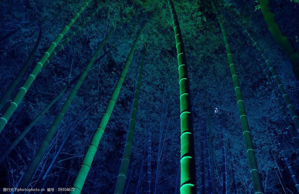 竹子夜色图片