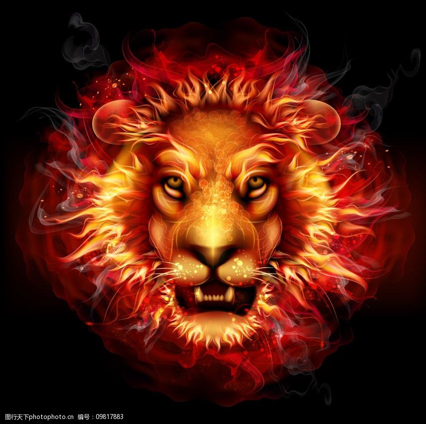 燃烧的火焰雄狮头图片