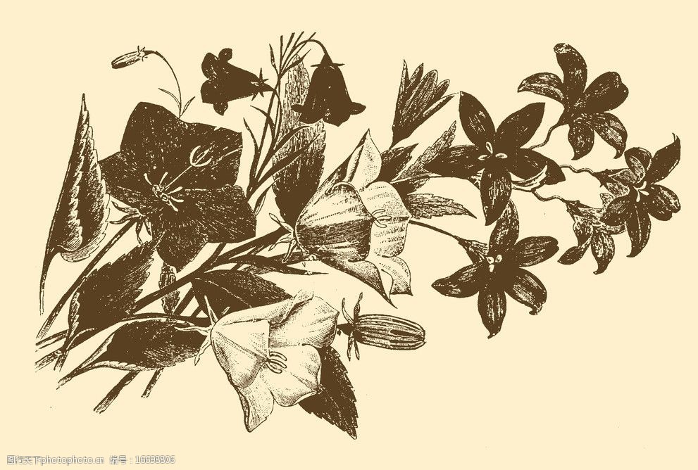 植物装饰画图片