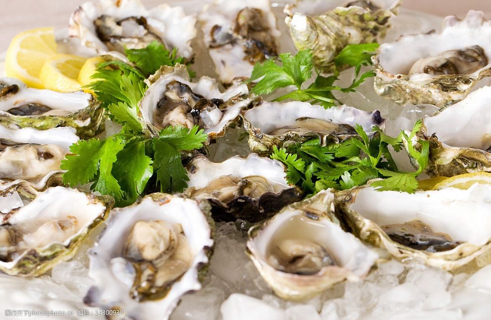 关键词:海蛎子 牡蛎 贝类 生鲜 海鲜 传统美食 餐饮美食 摄影 300dpi