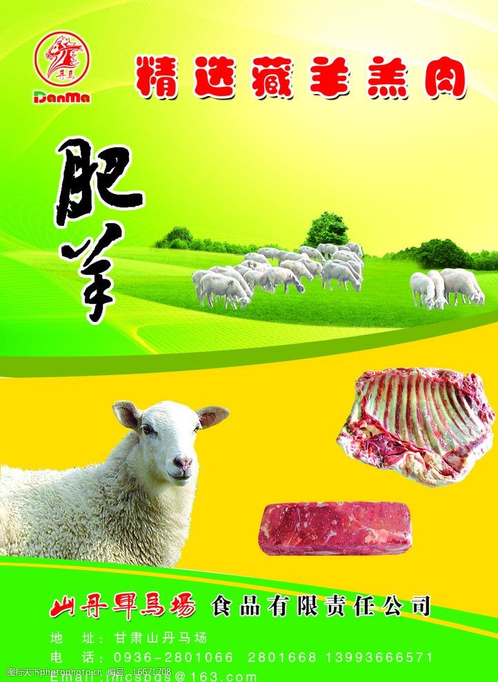 藏羊羊羔肉宣传图片