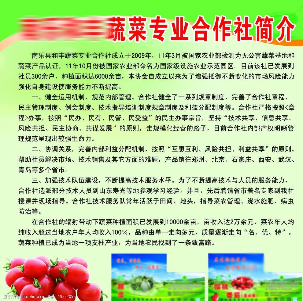 蔬菜專業合作社簡介圖片