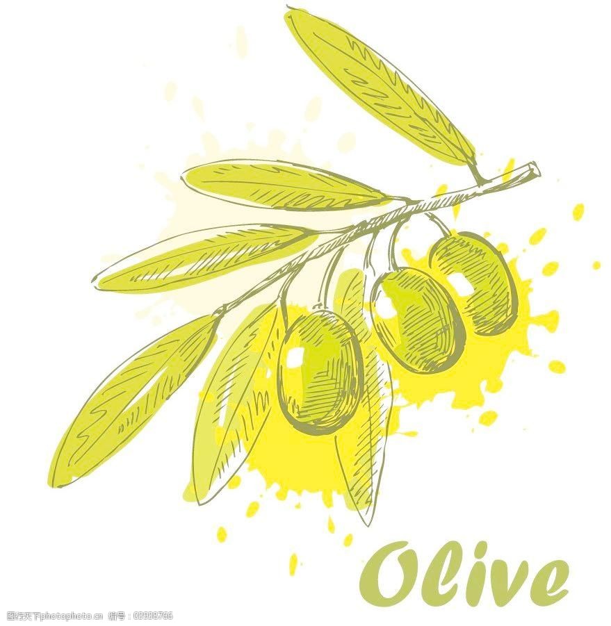手绘橄榄图片